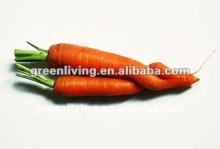 2012 fresh carrot in carton or mesh bag