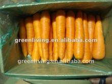 supply all kinds of vegetables --2012 fresh potato carrot