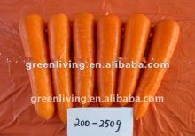 2012 hot  vegetable ---Fresh Carrot