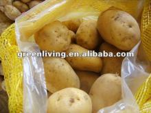 2012 fresh potato packed in 10kg/20kg carton