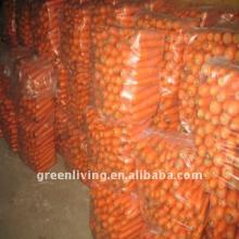  carrot   fresh ,AD  carrot 