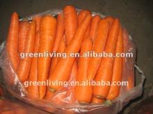 fresh vegetables carrots 2012