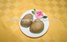 supply 2012 fresh potato