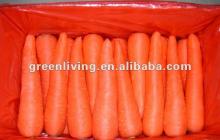 Chinese fresh carrot in carton