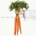 Chinese natural and fresh farm carrot