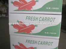 Chinese fresh carrot with high quality