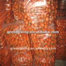 2012 hot sale fresh carrot from china