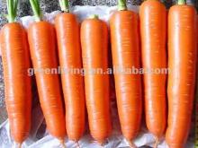 fresh washed carrot