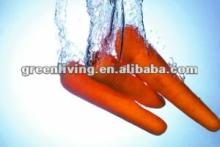 2012 Shandong  fresh   carrot  ( red / orange )