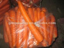 2012 Hotsale Farm Fresh Carrot