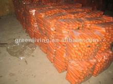 chinese farm organic fresh carrot
