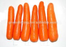 2012 new harvest fresh carrot 316