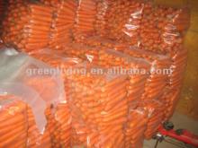 2012 New Crop Chinese Fresh Carrot