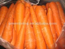 new China 2012 very Fresh frozen carrot