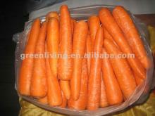 2012 chinese fresh baby carrot for sale