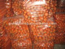 2012 New Crop Shandong Local Fresh Carrot