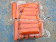 fresh 2012 crop Chinese bright red carrot