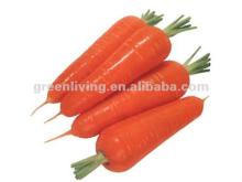 2012 New Crop Chinese Grade A carrot(S,M,L)