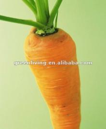 red carrot of 2012 fresh product(rich in nutrition)