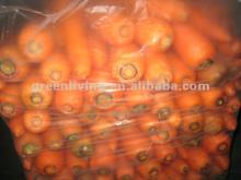 2012 New Crop Chinese Grade A fresh carrot(S,M,L)
