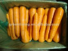 2012 Shandong new crop Fresh Carrot in different pack
