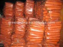 2012 New Crop Grade A Chinese fresh carrots specification