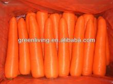 fresh chinese carrot M 150-220G