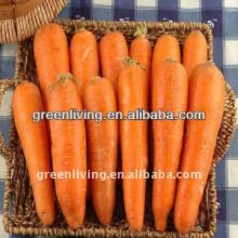 fresh red carrot from Shandong, China(80-150g)(150-250g up)