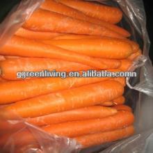 2013 fresh carrot in China(80-150g)(150-250g up)