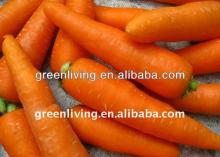 2013 delicious fresh carrot (80-150g)(150-250g up)