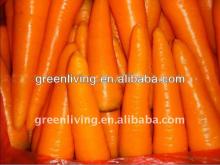 2013 fresh carrot hot sale (80-150g)(150-250g up)