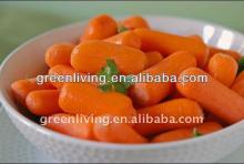 supply carrot potato onion all kinds of fresh vegetables