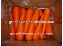 2013 new crop fresh carrot for sale