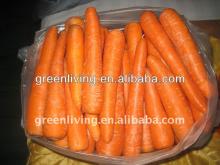 2013 fresh carrot(new crop,high quality!)