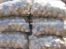2013 fresh potato competitive price in china