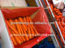 2014 fresh potato in carton packing(S, M, L, LL)/factory direct supplier