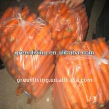 we export 2013 new harvest fresh carrot / competitive price