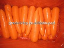Fresh vegetables Corrot (size:s,m)
