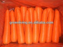 Chinese fresh carrot packed in carton (size:s,m)