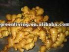 fresh dry ginger and half dry ginger
