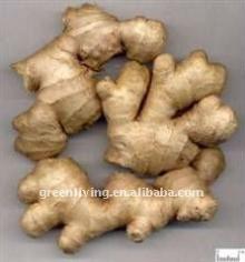 old ginger in anqiu of China