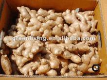 mature air dried ginger,china old ginger (50g-200g up)