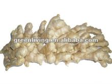 air -dry mature ginger in china ,china ginger specifications (150g)