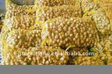 Chinese old ginger supplier