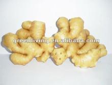 2012 ginger price change--supply hot now