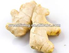 2012 ginger price change--meet your need