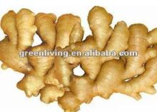 2012 fresh/dried ginger your best choice