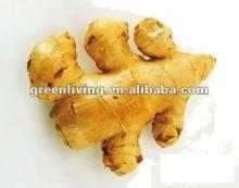 2012 fresh/air/half-dried ginger 20mesh bag