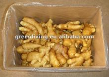 2012 new crop Chinese young ginger supplying(50G/100G/150G/200G/250G)