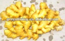 2012 fresh/dried ginger-the size meet your need